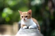 魅族造的格力 TOSOT G7:锁死 Flyme,员工福利藏猫腻?(魅族格力合作)
